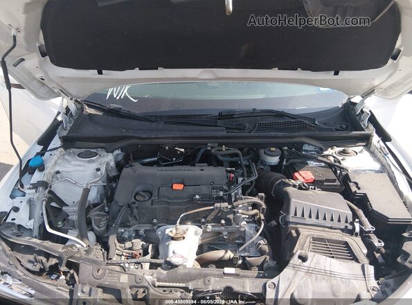 19XFL2H50PE024314 2023 HONDA CIVIC Белый Вид сзади