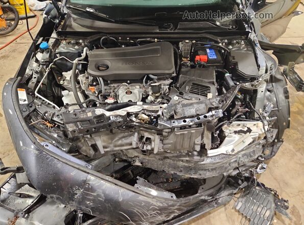 19XFL2H86SE017712 2025 HONDA CIVIC Gray უკანა სალონის ხედი