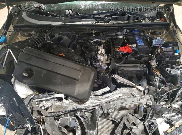 19XFL2H8XSE008060 2025 HONDA CIVIC Желто-коричневый Вид задней части салона