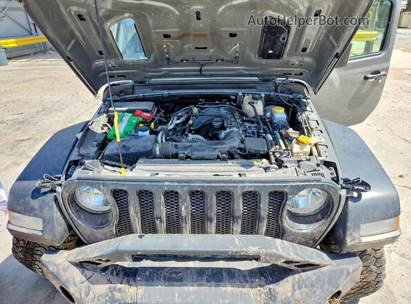 1C4HJXDG3MW810757 2021 JEEP WRANGLER Gray Սալոնի հետևի տեսք