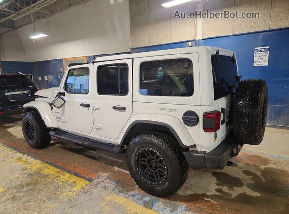 1C4HJXEG8LW334647 2020 JEEP WRANGLER Белый Задняя левая четверть