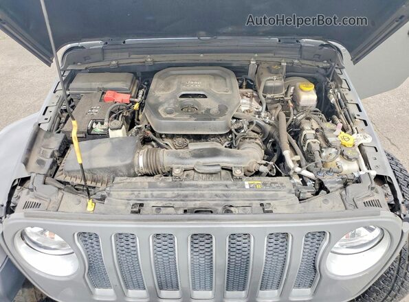 1C4HJXEN6LW224517 2020 JEEP WRANGLER Gray უკანა სალონის ხედი