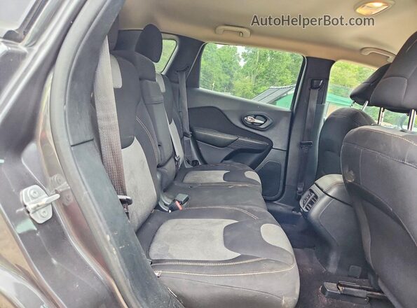 1C4PJLAB5GW295133 2016 JEEP CHEROKEE Серый Вид задней части салона