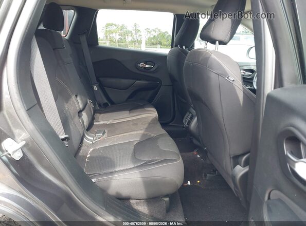 1C4PJLCB4HW541667 2017 JEEP CHEROKEE Gray Widok naklejki z numerem VIN