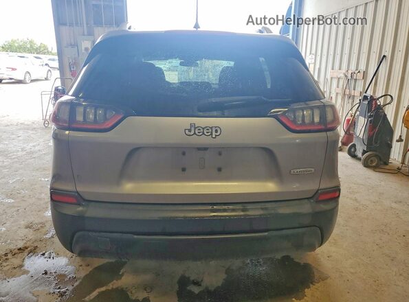 1C4PJLCB4KD439594 2019 JEEP CHEROKEE Silver Հետևի տեսք
