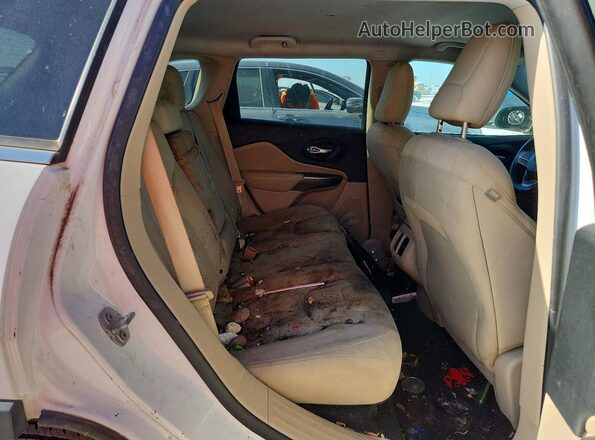 1C4PJLCB7KD297368 2019 JEEP CHEROKEE Белый Вид задней части салона