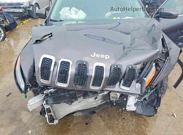 1C4PJLDX9JD597244 2018 JEEP CHEROKEE Gray Widok komory silnika