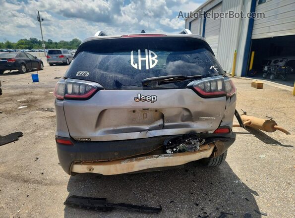 1C4PJLLB1KD264687 2019 JEEP CHEROKEE Silver უკანა ხედი