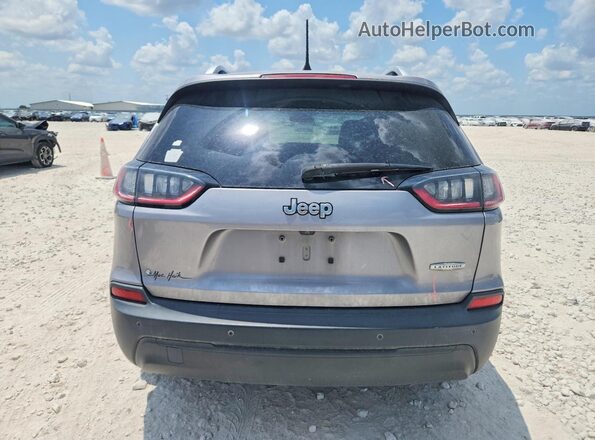 1C4PJLLB1KD297396 2019 JEEP CHEROKEE Gray უკანა ხედი