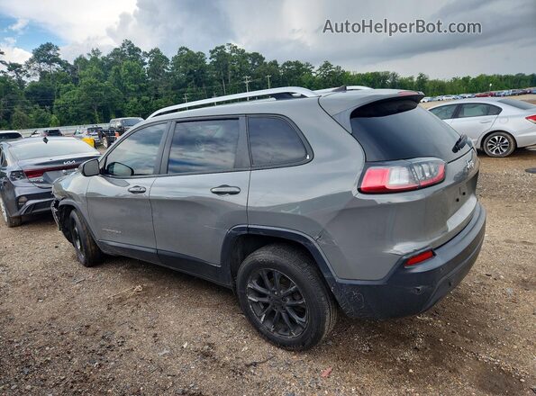1C4PJLLBXLD580882 2020 JEEP CHEROKEE Gray უკანა მარცხენა