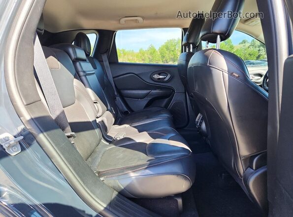 1C4PJMBB4HW519496 2017 JEEP CHEROKEE Gray Vista interior trasera