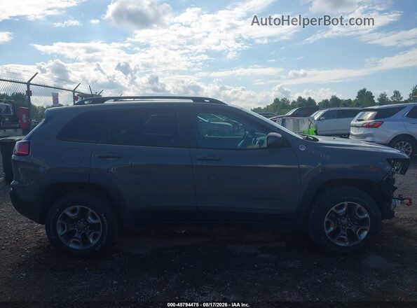 1C4PJMBN0KD455311 2019 JEEP CHEROKEE Gray Vista interior trasera