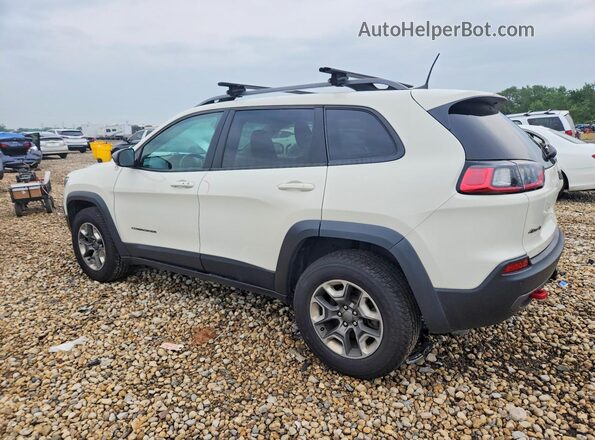 1C4PJMBN5KD486960 2019 JEEP CHEROKEE Белый Задняя левая четверть
