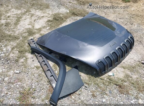1C4PJMBS1GW114923 2016 JEEP CHEROKEE Gray Widok zestawu wskaźników