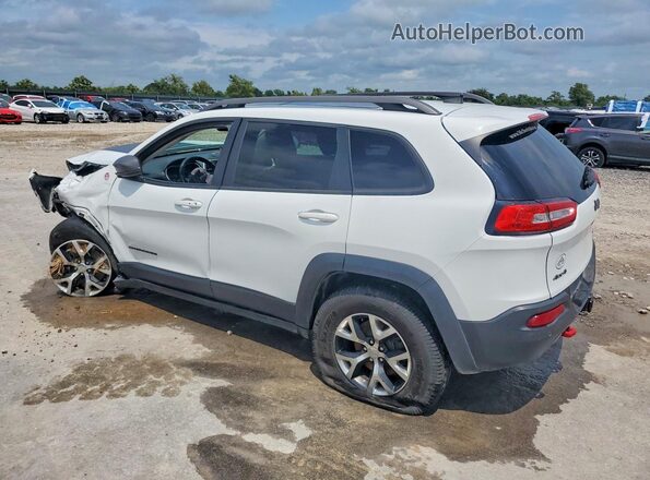 1C4PJMBS5HW530913 2017 JEEP CHEROKEE White Tył lewy