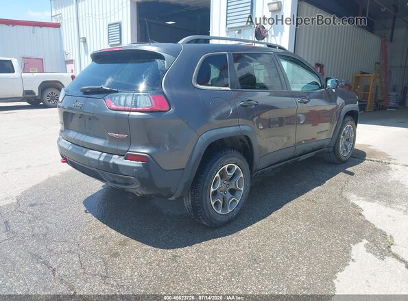 1C4PJMBX1LD643368 2020 JEEP CHEROKEE Gray Задня права чверть