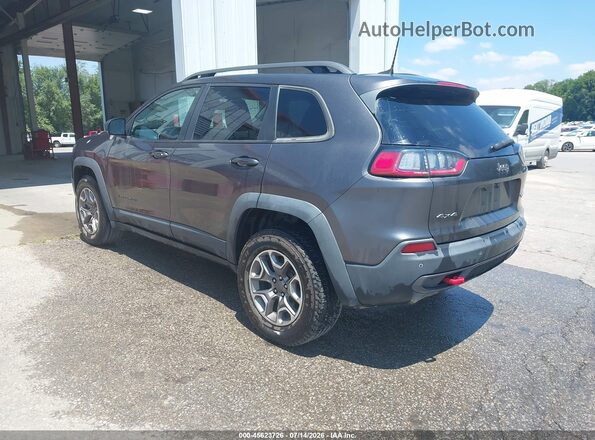 1C4PJMBX1LD643368 2020 JEEP CHEROKEE Gray Задня ліва чверть