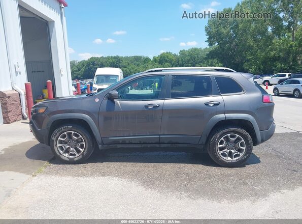 1C4PJMBX1LD643368 2020 JEEP CHEROKEE Gray 