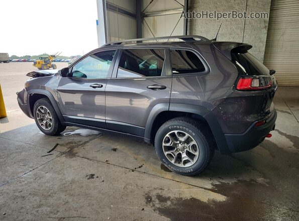 1C4PJMBX1MD129344 2021 JEEP CHEROKEE Gray Rear left
