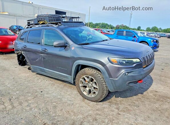 1C4PJMBX2LD504141 2020 JEEP CHEROKEE Gray წინა მარჯვენა