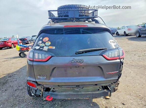 1C4PJMBX2LD504141 2020 JEEP CHEROKEE Gray უკანა ხედი