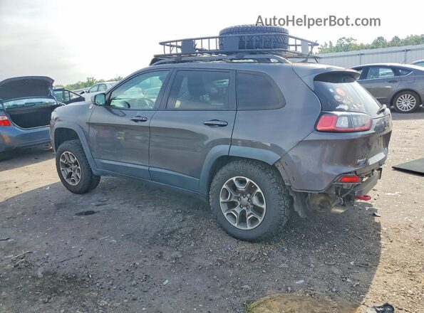 1C4PJMBX2LD504141 2020 JEEP CHEROKEE Gray უკანა მარცხენა