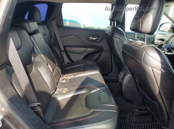 1C4PJMBX2LD504141 2020 JEEP CHEROKEE Gray უკანა სალონის ხედი