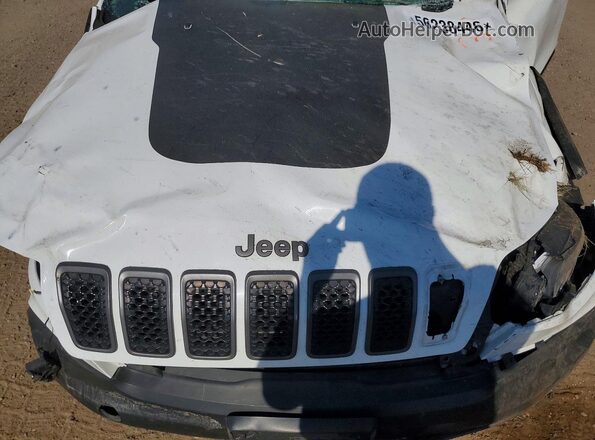 1C4PJMBX2LD522364 2020 JEEP CHEROKEE White Widok komory silnika