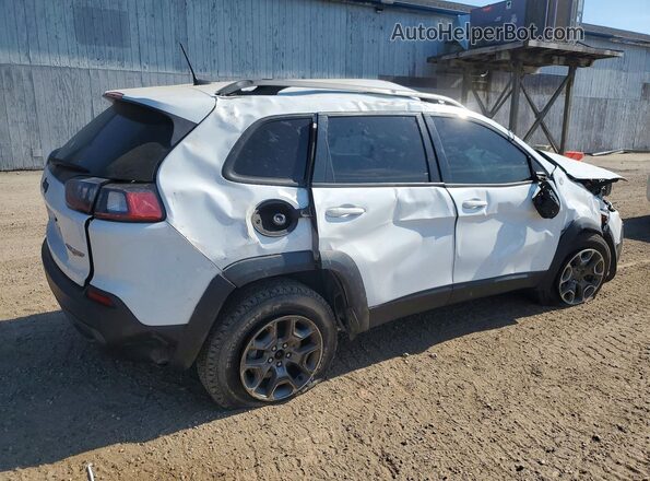 1C4PJMBX2LD522364 2020 JEEP CHEROKEE White Tył prawy