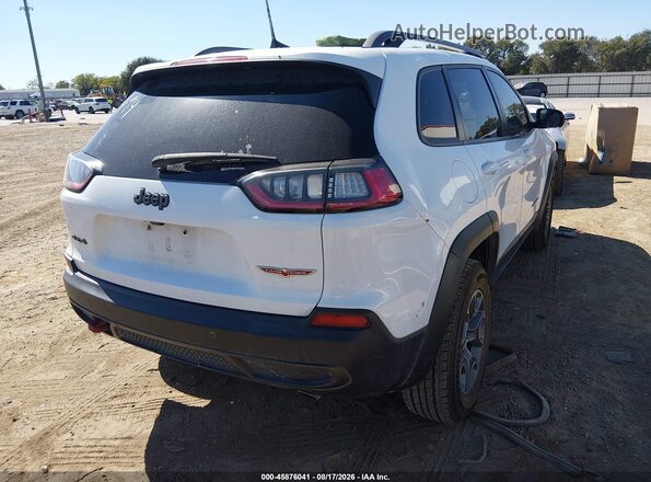 1C4PJMBX3LD627494 2020 JEEP CHEROKEE White უკანა მარჯვენა