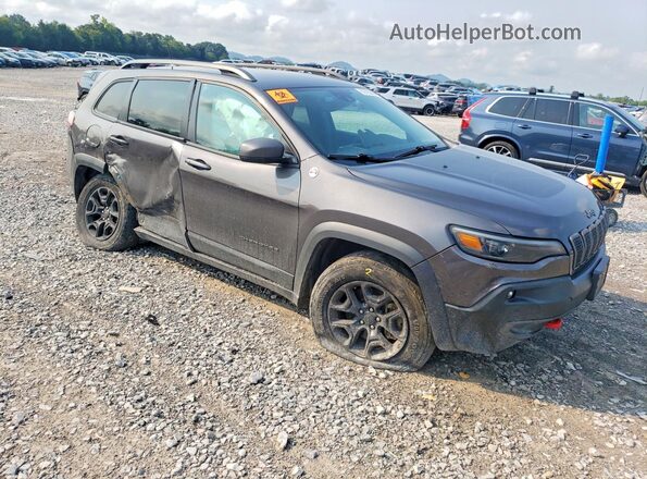 1C4PJMBX3MD253261 2021 JEEP CHEROKEE Gray Delantero derecho