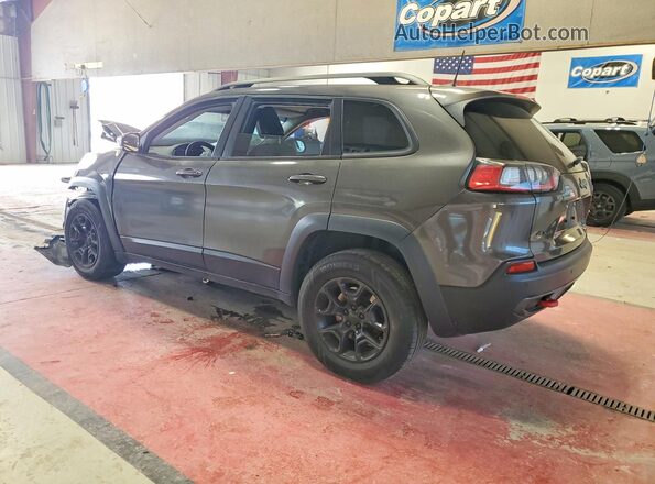 1C4PJMBX7KD245130 2019 JEEP CHEROKEE Gray Tył lewy