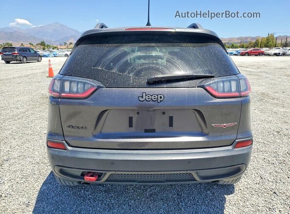 1C4PJMBX9KD216812 2019 JEEP CHEROKEE Gray Вид ззаду