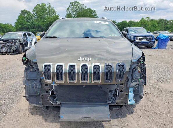 1C4PJMCB0GW142002 2016 JEEP CHEROKEE Green Front view