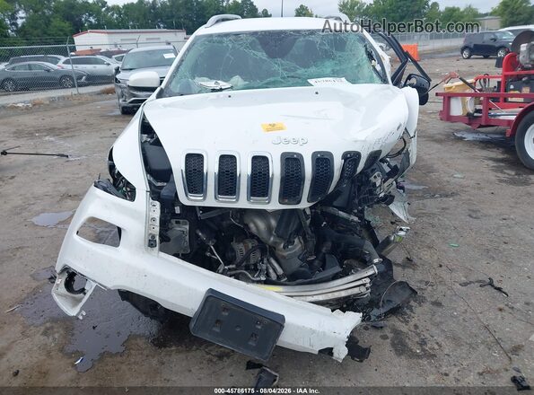 1C4PJMCB1HD225659 2017 JEEP CHEROKEE White Instrument cluster view
