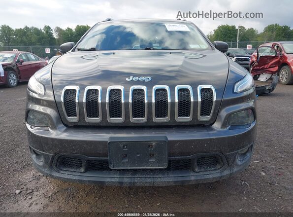1C4PJMCB2GW341861 2016 JEEP CHEROKEE Gray უკანა სალონის ხედი