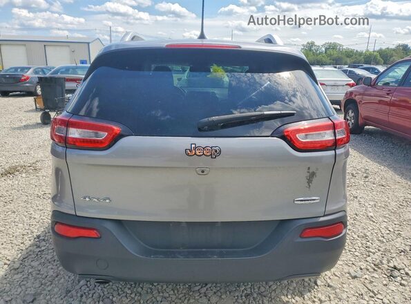 1C4PJMCB2HW632314 2017 JEEP CHEROKEE Gray Widok z tyłu