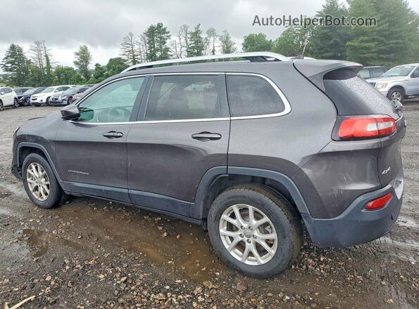 1C4PJMCB3HW564735 2017 JEEP CHEROKEE Gray Tył lewy