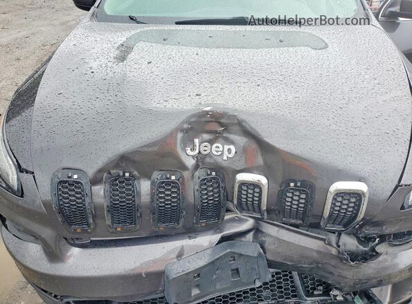 1C4PJMCB3HW564735 2017 JEEP CHEROKEE Gray Widok komory silnika