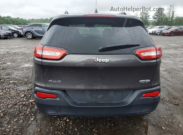 1C4PJMCB3HW564735 2017 JEEP CHEROKEE Gray Widok z tyłu