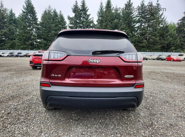 1C4PJMCB3KD487173 2019 JEEP CHEROKEE Maroon უკანა ხედი