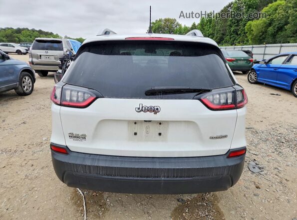 1C4PJMCB6KD157723 2019 JEEP CHEROKEE White Հետևի տեսք