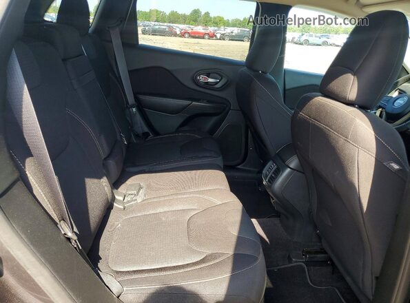 1C4PJMCS2GW194909 2016 JEEP CHEROKEE Gray Vista interior trasera