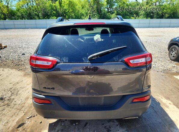 1C4PJMCS6GW124250 2016 JEEP CHEROKEE Серый Вид сзади