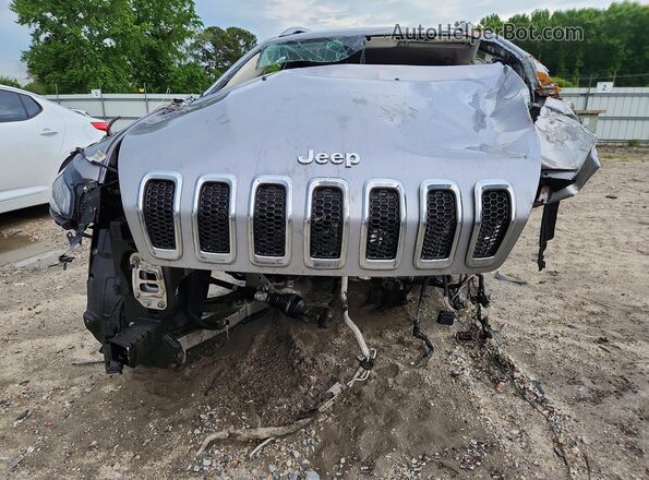 1C4PJMDB0HW543338 2017 JEEP CHEROKEE Silver Դիմացի տեսք