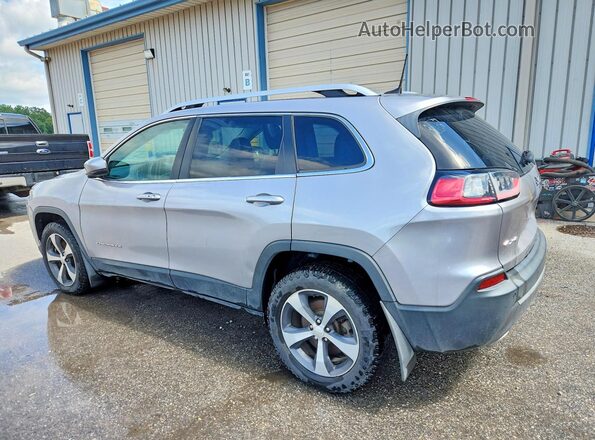 1C4PJMDN1KD163003 2019 JEEP CHEROKEE Серебряный Задняя левая четверть