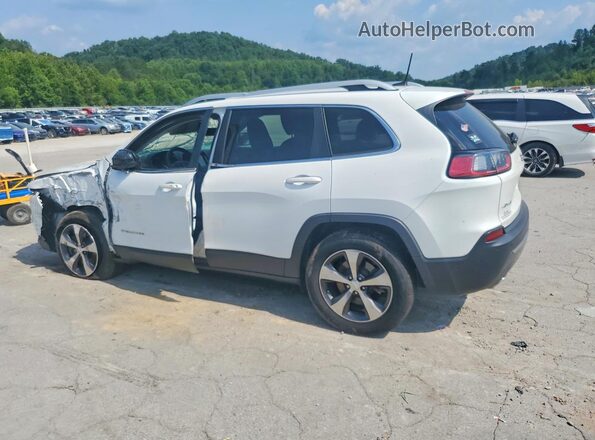 1C4PJMDN9KD159068 2019 JEEP CHEROKEE White უკანა მარცხენა