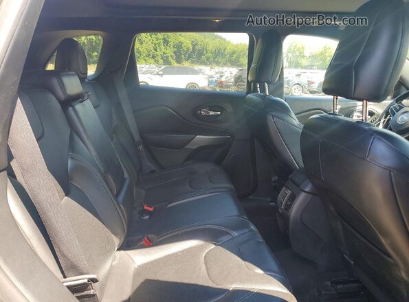 1C4PJMDNXLD570688 2020 JEEP CHEROKEE Gray Vista interior trasera