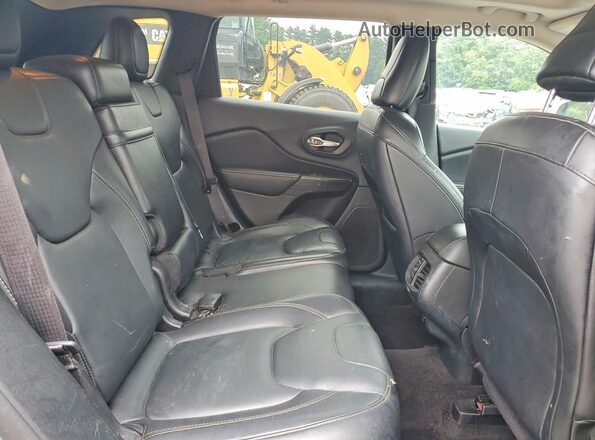 1C4PJMDS4GW169671 2016 JEEP CHEROKEE Серебряный Вид задней части салона