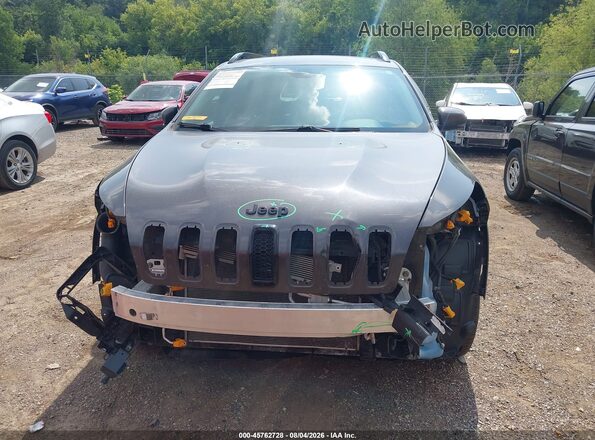 1C4PJMDS4HW659755 2017 JEEP CHEROKEE Gray Vista interior trasera